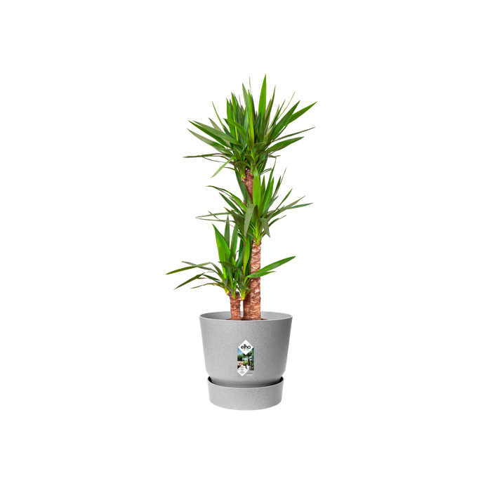 greenville round 30cm living concrete